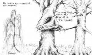 "No Food For You, Gavin!" - part of the Talking Trees collection (available as greetings cards at £2.50 and limited prints at £40)